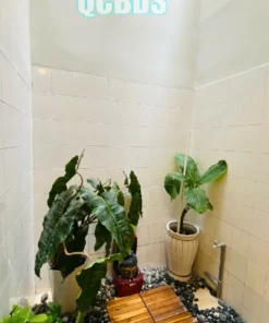 Bán nhà hẻm Hoà Hưng 83/29F Hòa Hưng Quận 10 - 52 mét vuông 2 lầu 44 Bán nhà hẻm Hoà Hưng 83/29F Hòa Hưng Quận 10 - 52 mét vuông 2 lầu - Ảnh 13
