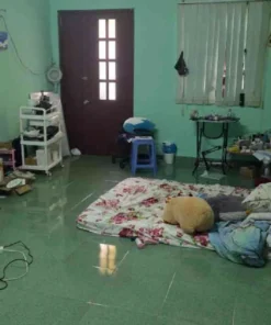 Bán nhà hẻm 224/61 Lý Thường Kiệt Quận 10 - 37 mét vuông 3 lầu 58 Bán nhà hẻm 224/61 Lý Thường Kiệt Quận 10 - 37 mét vuông 3 lầu - Ảnh 19