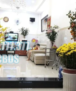 Bán nhà 266/33 Nguyễn Tri Phương Quận 10 - 39 mét vuông 4 lầu 45 Bán nhà 266/33 Nguyễn Tri Phương Quận 10 - 39 mét vuông 4 lầu - Ảnh 5