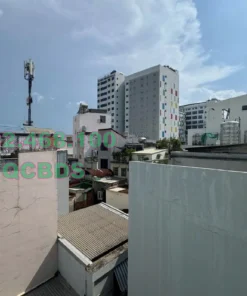 Bán nhà 594/16 Sư Vạn Hạnh Quận 10 - 45 mét vuông 5 lầu 26 Bán nhà 594/16 Sư Vạn Hạnh Quận 10 - 45 mét vuông 5 lầu - Ảnh 5